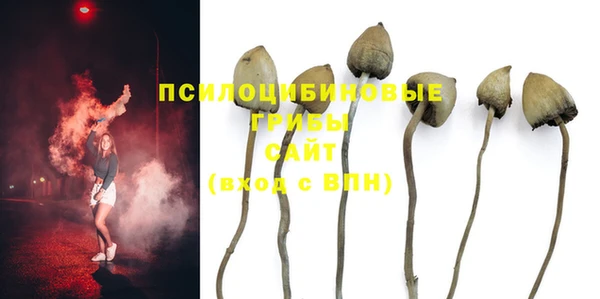 герыч Горнозаводск