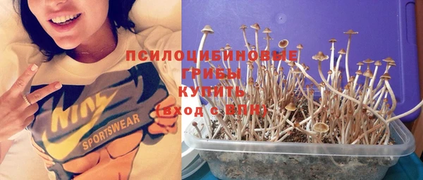 герыч Горнозаводск