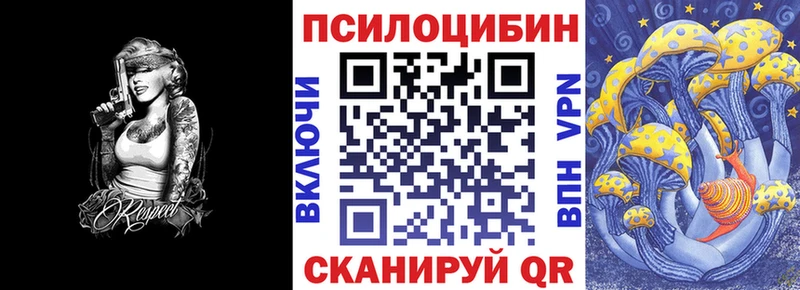 Купить закладки  Сасово  Псилоцибиновые грибы GOLDEN TEACHER 